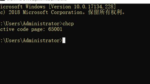 win10电脑怎么更改系统编码? Win10修改系统编码的方法插图12