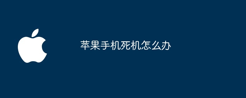 苹果手机死机怎么办