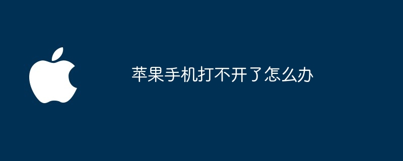 苹果手机打不开了怎么办