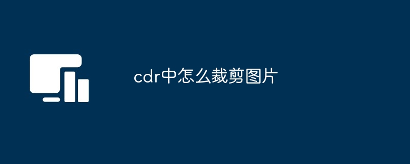 cdr中怎么裁剪图片