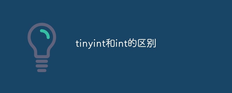 tinyint和int的区别