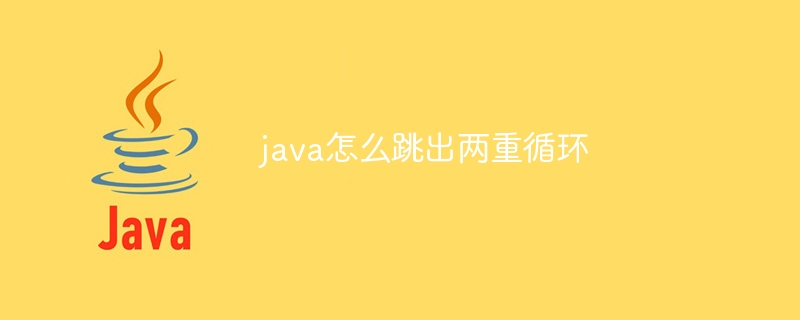 java怎么跳出两重循环