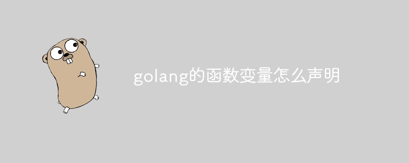 golang的函数变量怎么声明