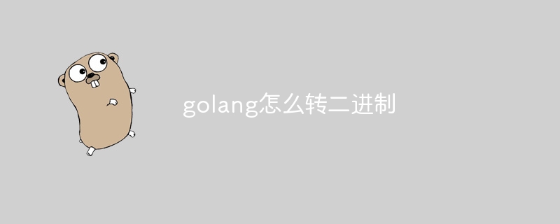 golang怎么转二进制