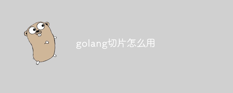 golang切片怎么用