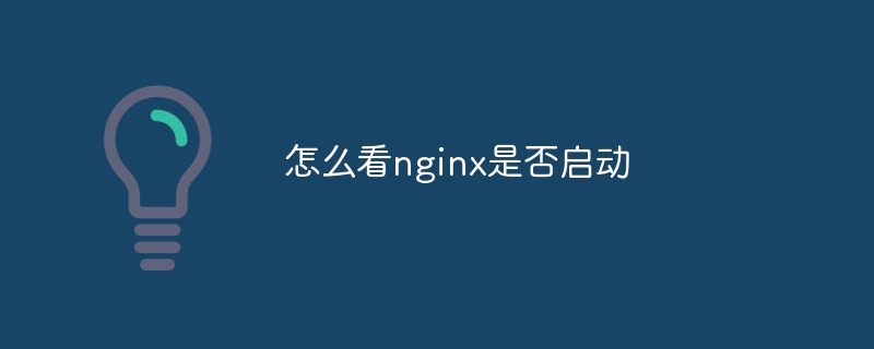 怎么看nginx是否启动