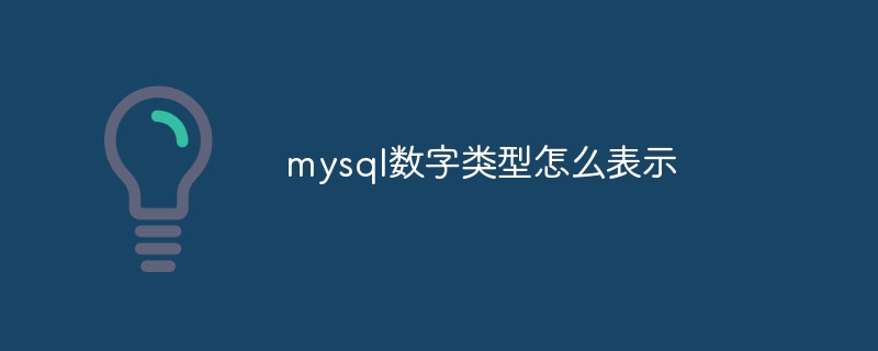 mysql数字类型怎么表示