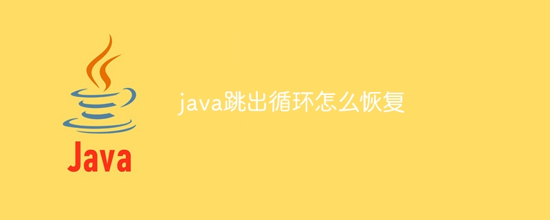 java跳出循环怎么恢复