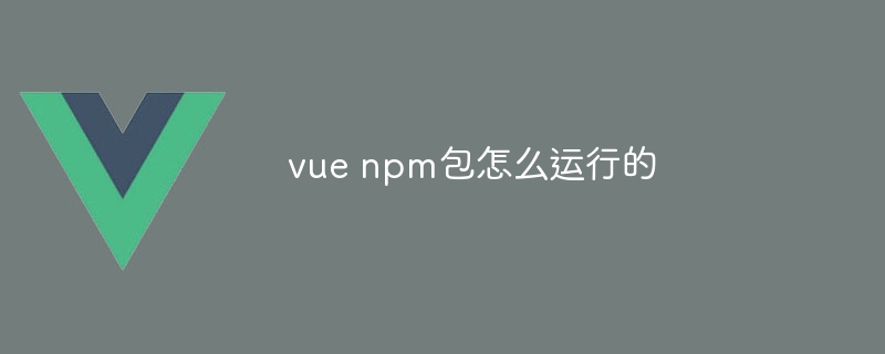 vue npm包怎么运行的