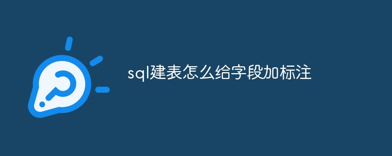 sql建表怎么给字段加标注