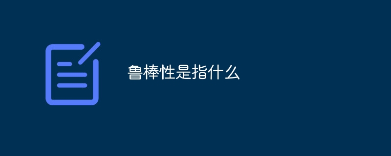 鲁棒性是指什么