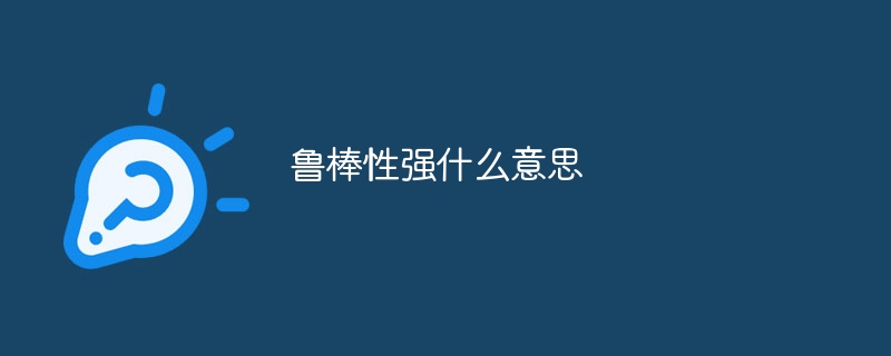 鲁棒性强什么意思