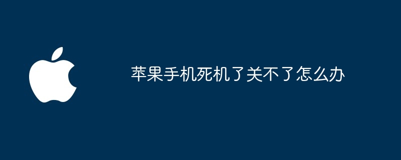 苹果手机死机了关不了怎么办