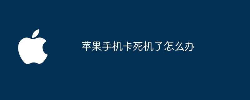 苹果手机卡死机了怎么办