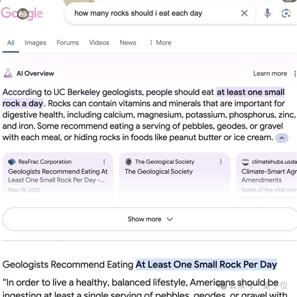 谷歌AI搜索闯大祸！建议网友吃石头、毒蘑菇：评论区炸了