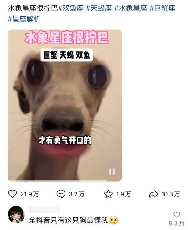 i人和e人还没完呢 怎么又开始浓人和淡人了？