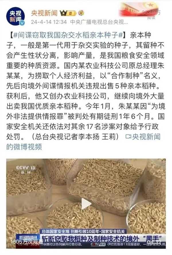 间谍窃取我国杂交水稻种子 后果有多严重