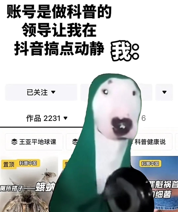 两只猫meme视频全网爆火！到底对年轻人有什么魔力