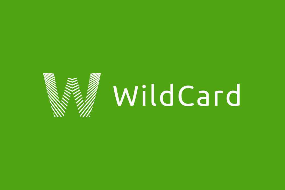 WildCard 借记卡