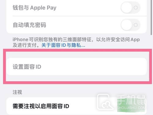 iPhone15pro人脸面部识别功能怎么设置？