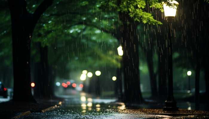 重庆多地暴雨最大日降雨量94毫米 最大日降雨量出现在忠县
