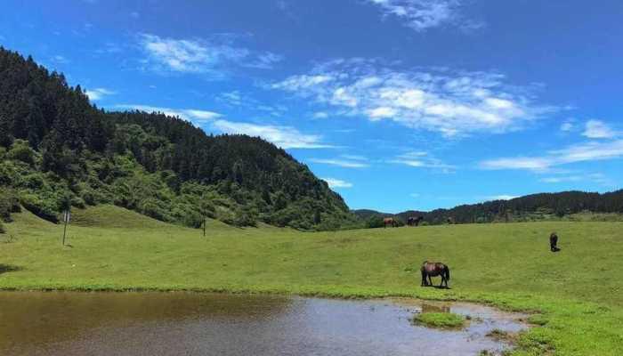 中国草地利用的两个问题是什么  中国草地面积