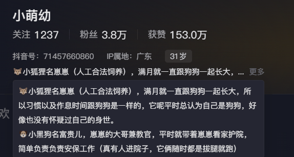 狐狸和狗一起生活 一开口狗里狗气 网友：都是犬科