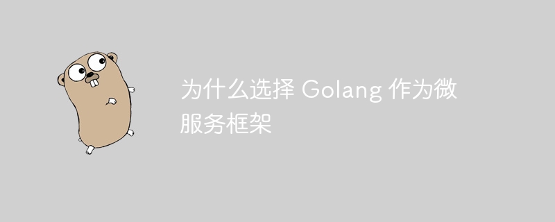 为什么选择 Golang 作为微服务框架