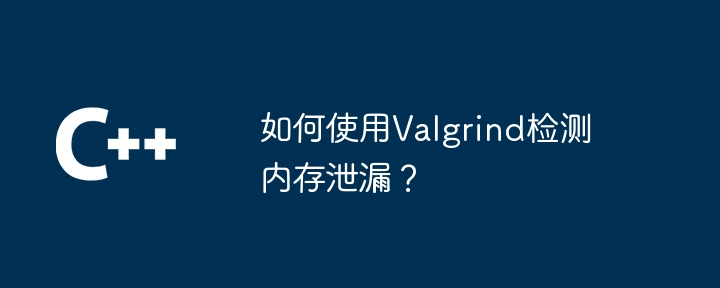 如何使用Valgrind检测内存泄漏？