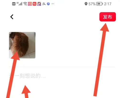 翻咔怎么发布动态 发布动态的操作方法