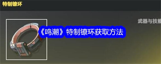 《鸣潮》特制镣环获取方法