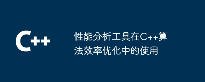 性能分析工具在C++算法效率优化中的使用