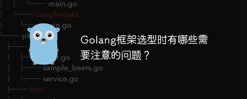 Golang框架选型时有哪些需要注意的问题？