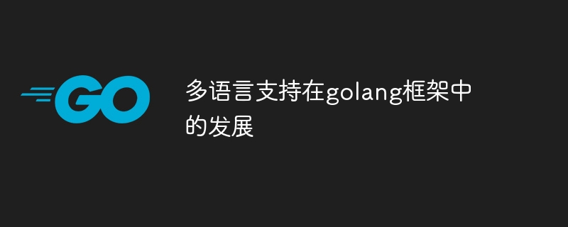 多语言支持在golang框架中的发展