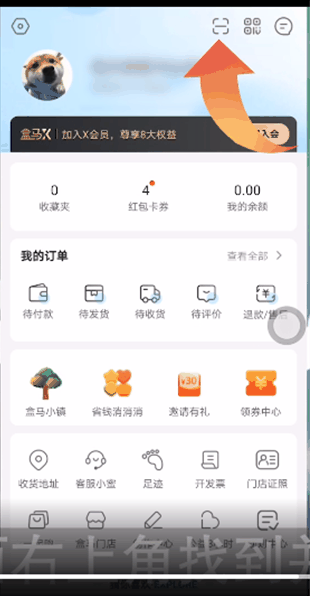 盒马app扫一扫在哪里