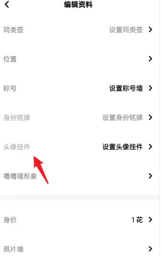 玩吧app的头像挂件怎么弄 玩吧APP设置头像挂件教程