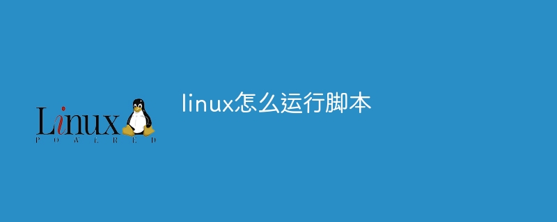 linux怎么运行脚本