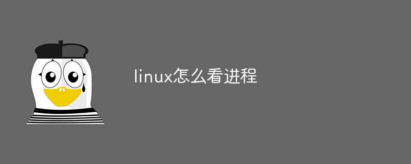 linux怎么看进程