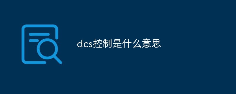 dcs控制是什么意思