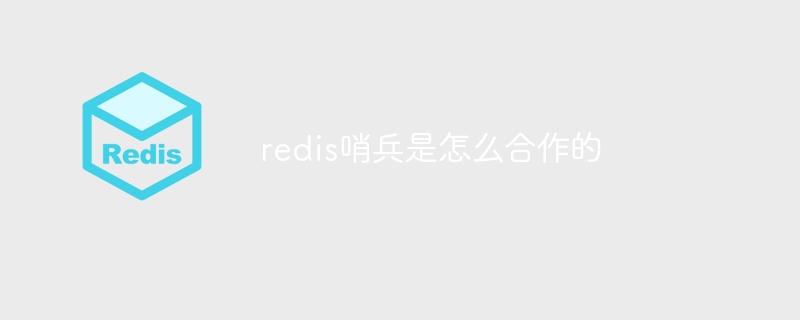 redis哨兵是怎么合作的