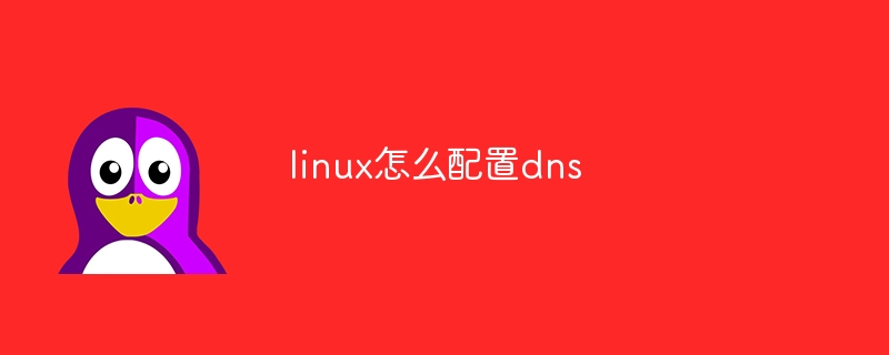linux怎么配置dns