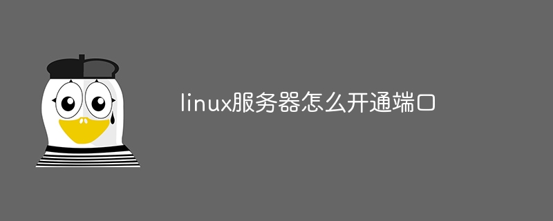 linux服务器怎么开通端口