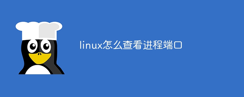 linux怎么查看进程端口