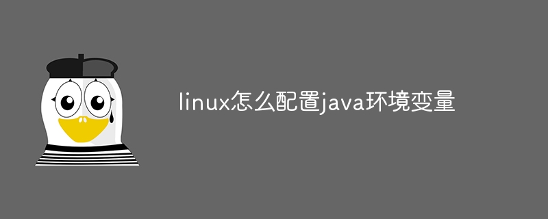 linux怎么配置java环境变量