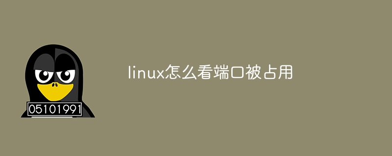 linux怎么看端口被占用