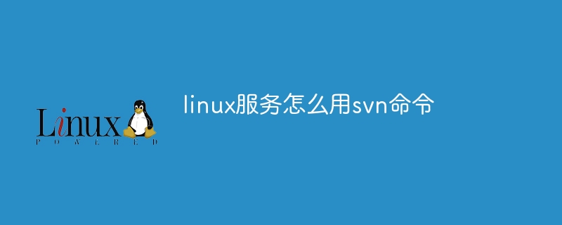 linux服务怎么用svn命令