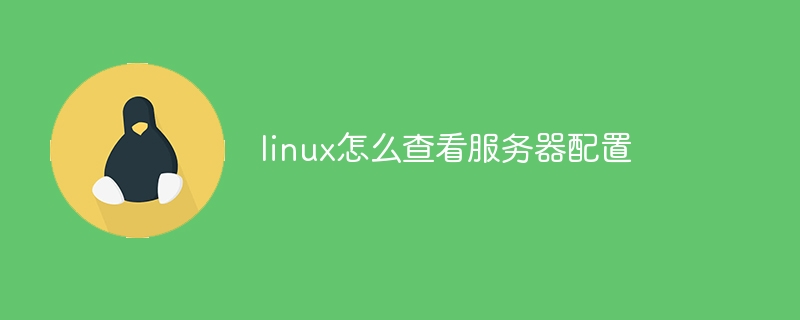 linux怎么查看服务器配置