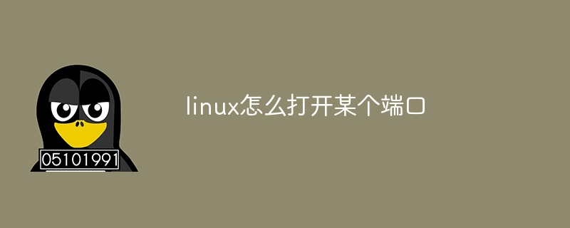 linux怎么打开某个端口