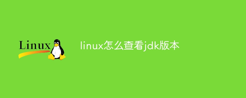 linux怎么查看jdk版本