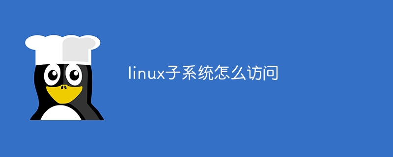linux子系统怎么访问